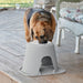 WeatherTech Single High Pet Feeding System, Plastic Bowl - WTD3J - Dark Grey - 3" High, 32 oz - 8