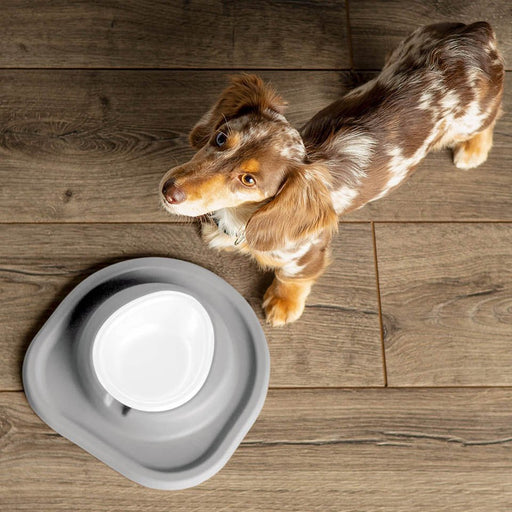 WeatherTech Single Low Pet Feeding System, Plastic Bowl - WTD47 - Dark Grey - 8 oz - 2