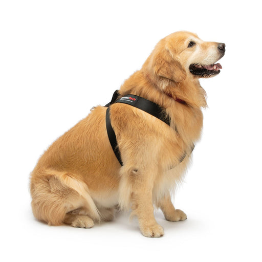 WeatherTech Travel Safe Dog Harness - WTD6L - Black - Chest 13 - 18"; 5 - 12 lbs - 1