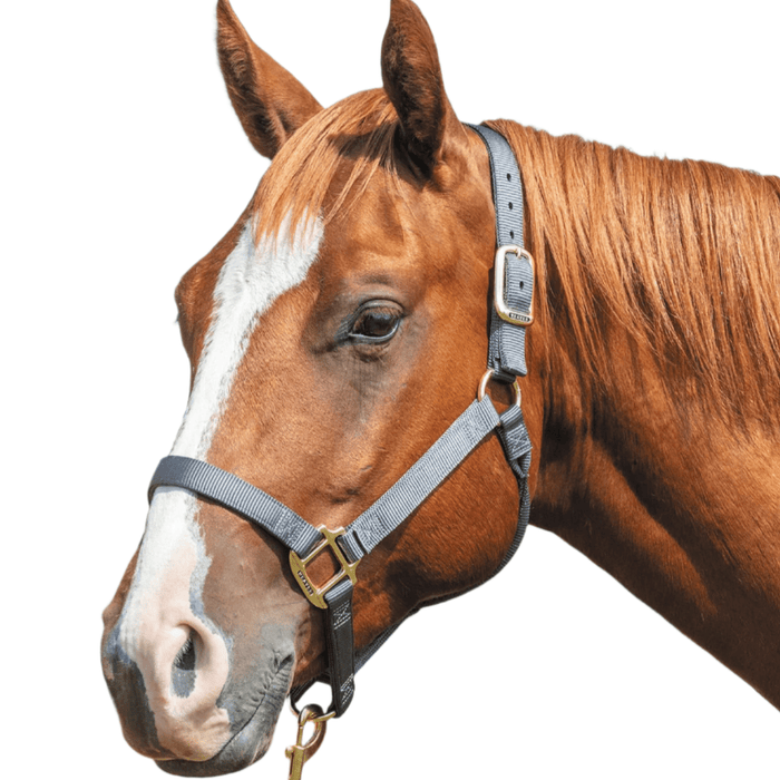 Weaver Original Nylon Horse Halter - WLC2FL - Black - Small - 1