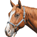 Weaver Original Nylon Horse Halter - WLC2FL - Black - Small - 1