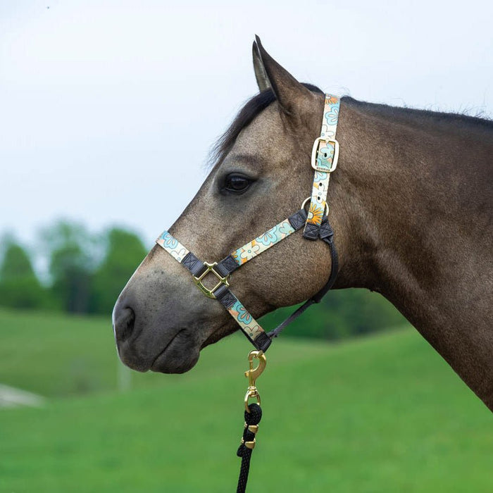 Weaver Patterned Nylon Overlay Halter for Horses - W2AEZ - Lost Creek - Small - 1