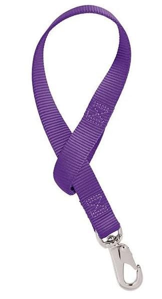 Weaver Solid Nylon Bucket Strap - W2ADP - Purple - 4