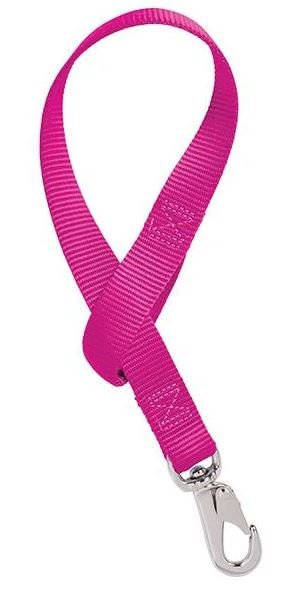 Weaver Solid Nylon Bucket Strap - W2ADQ - Raspberry - 6