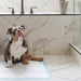 Wee Wee Dog Pee Pads - 39AJ - 14 ct - Reg Pads (22" x 23") - 7
