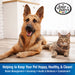 Wee - Wee Housebreaking Aid, Puppy & Dog Potty Training Spray, 8 oz - 39YD - 8oz - 3