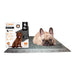WizSmart Essentials Pads with Charcoal, XL, 50 ct - 024PC-0510 - XLarge - 2