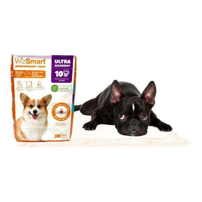 WizSmart Heavyweight Ultra Absorbent Pads for Dogs - 024PC-2103 - 30 ct - 23.5" x 22" - 18