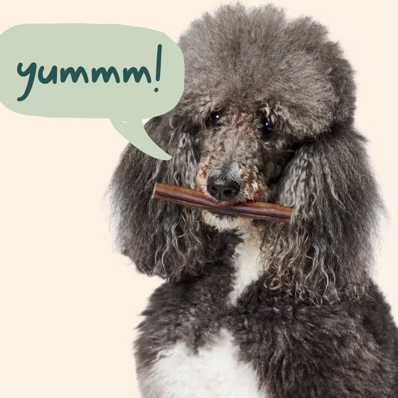 BullySafe Chews - Pure Collagen Size 6