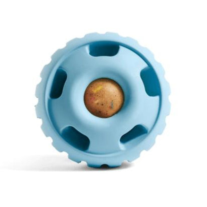 Pupsicle Birthday Color Blue