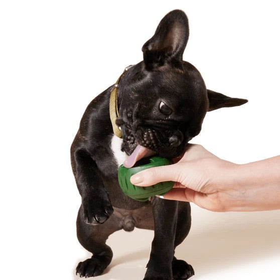 Pupsicle Treat Tray Color Yellow