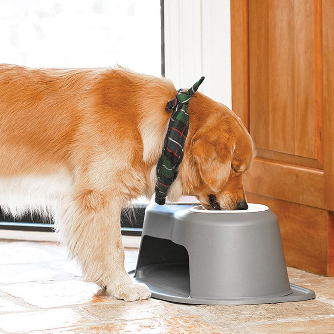 WeatherTech Double High Pet Feeding System, Poly Bowls Color Tan