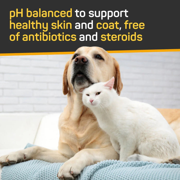 Silver Honey Skin & Coat Care Leave-In Conditioner 16 fl oz (473 ml) Pump Bottle Size 16 fl oz (473 ml)