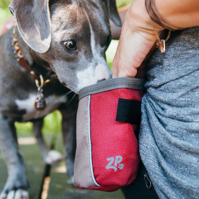 Zippy Paws Adventure Treat Bag - ZPP1E - Desert Red - 4