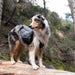 Zippy Paws Lightweight Adventure Backpack, Graphite - ZPP13 - Large - 8