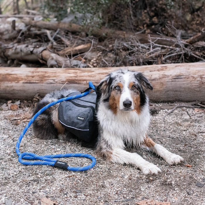 Zippy Paws Lightweight Adventure Backpack, Graphite - ZPP13 - Large - 7