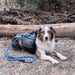Zippy Paws Lightweight Adventure Backpack, Graphite - ZPP13 - Large - 7