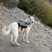 Zippy Paws Lightweight Adventure Backpack, Graphite - ZPP13 - Large - 4