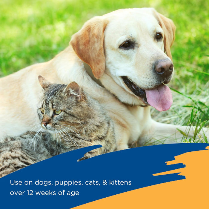 Zodiac Flea & Tick Spray for Dogs, Cats, Puppies & Kittens, 16 oz - FAAAY - 16 oz - 1 - 3